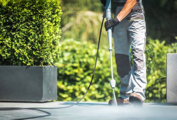 Best Pre-Holiday Cleaning  in Homestead Meadows South, TX