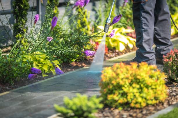 Best Gutter Cleaning  in Homestead Meadows South, TX
