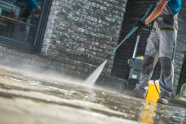 Best Oil Spill Cleanup  in Homestead Meadows South, TX