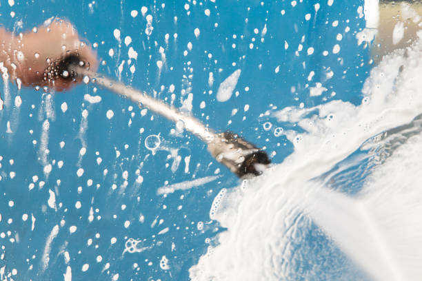 Animal Enclosure Cleaning in Homestead Meadows South, TX