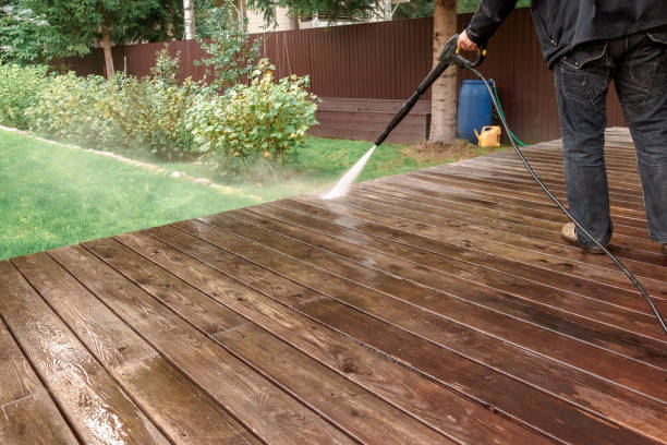 Best Soft Washing  in Homestead Meadows South, TX